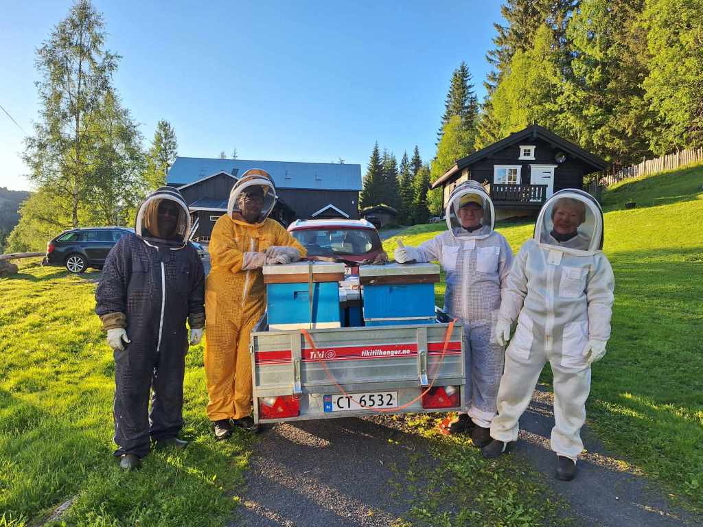 Biene er på&nbsp;plass